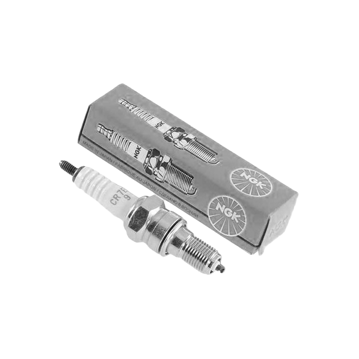 Spark Plugs