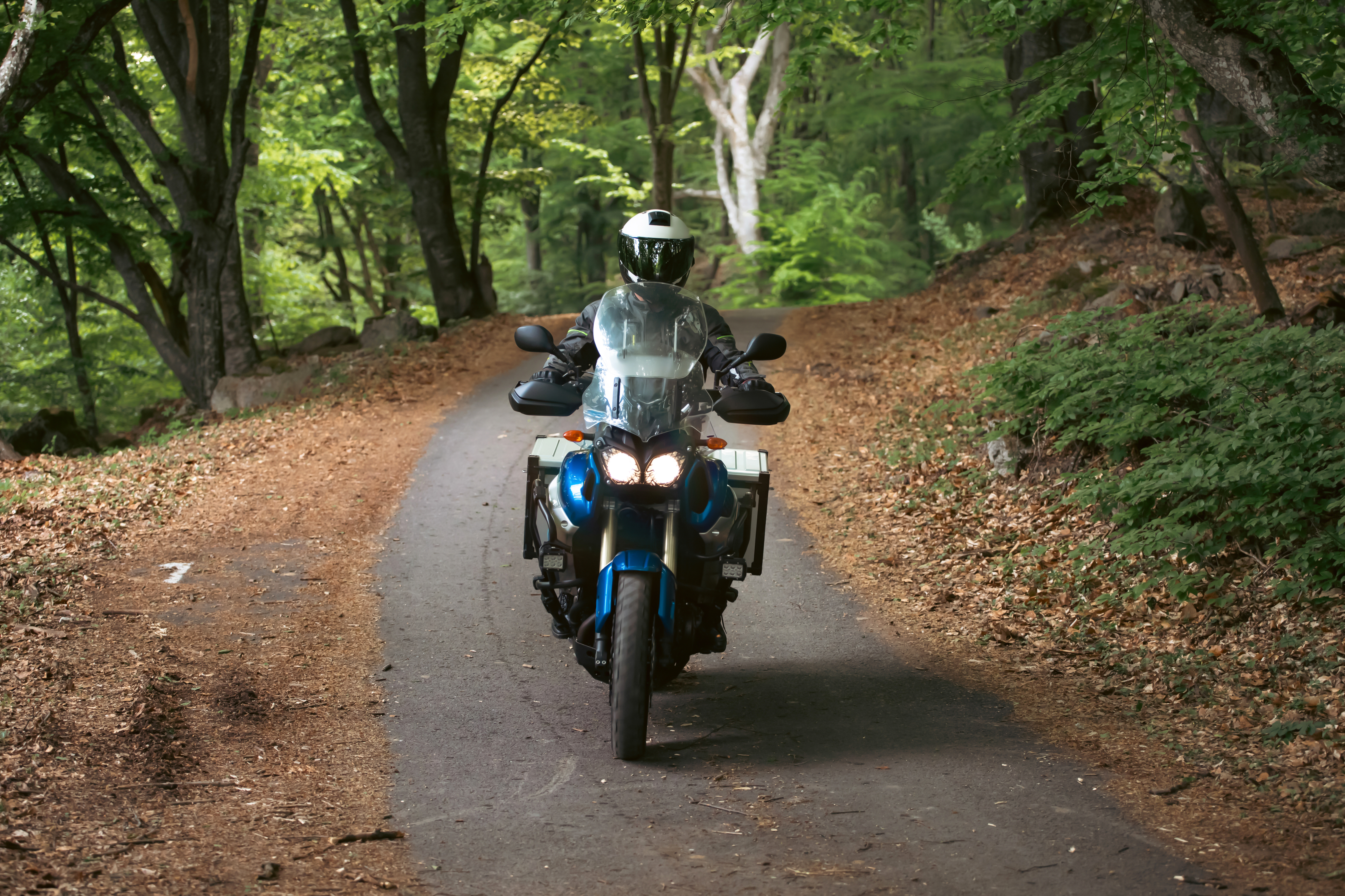 trail forêt