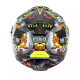 Premier TYPHOON LY 12 motorcycle helmet