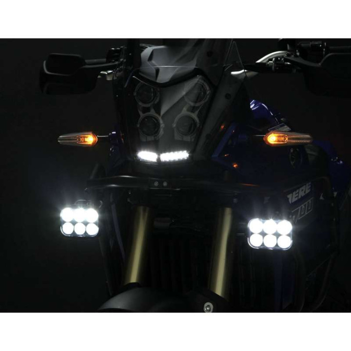 DENALI DL6 additional light (unit)