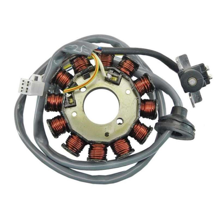 Complete Stator Bihr 50 BOOSTER / BW'S 04-