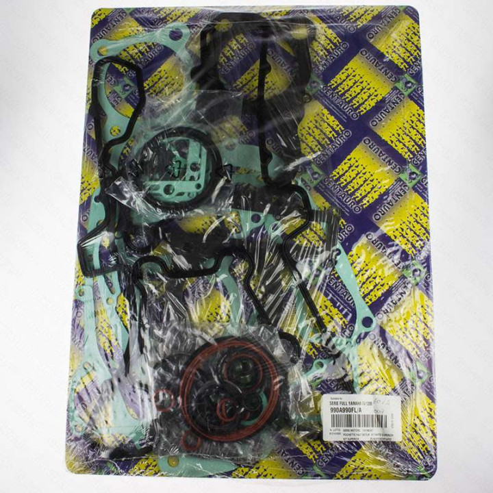 Full engine seals Centauro Yamaha XJR1200 FJ1200