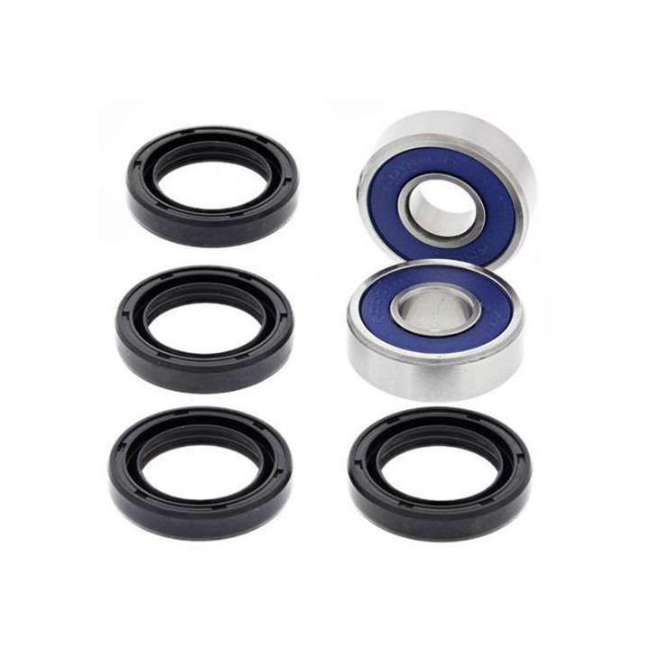 All balls 50-1073 Arctic Cat DVX300