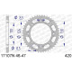 AFAM 47 teeth not 420 type 17107N Kawasaki KX 65