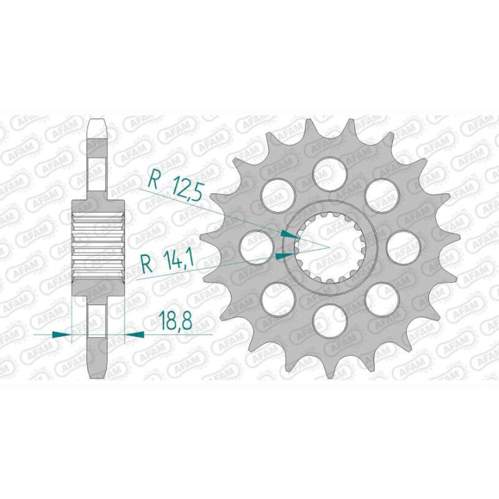 Pignon AFAM 19 dents pas 525 type 61602 BMW F800R