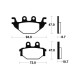 Brake plates metal fried Tecnium MO310