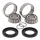 Kit bearings swinging arms All Balls 28-1058 BMW / Yamaha