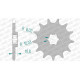 AFAM 13 teeth not 520 type 94213 GAS-GAS CR 125