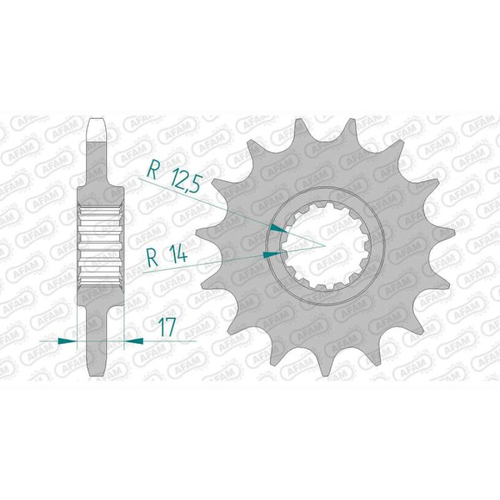 Pignon AFAM 15 dents pas 525 type 52901 Ducati 1199 Panigale
