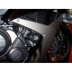 Protective stamps R&G AERO Honda CBR600RR 07-08