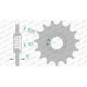 AFAM 16 teeth not 525 type 24506 Kawasaki ZX 6 R