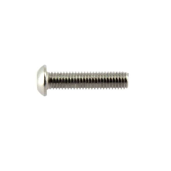 BTR screw in stainless steel (x10) M8x35mm MYRA
