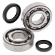 Kit roulements + spi de vilebrequin All Balls 24-1038 Suzuki LT500R