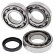 Kit bearings + spi de vilebrequin All Balls 24-1089 Polaris 500 Scrambler