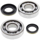 Kit bearings + spi de vilebrequin All Balls 24-1046 Suzuki RM250