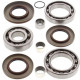 Kit roulement & joints de differentiel All Balls 25-2080 Polaris SPORTSMAN 550 