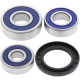 Rear wheel bearing kit All Balls 25-1489 Kawasaki 500 H1/KH500