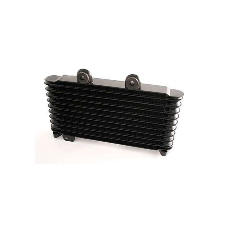 Radiateur d'huile Brazoline Suzuki GSF600 BANDIT 95-04 Radiateur d'huile Brazoline Suzuki GSF600 BANDIT 95-04