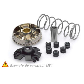 Variateur SPEEDMATIC Athena pour  SCARABEO 125/150  99-02  LEONARDO 125/150 99-01