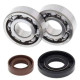 Kit bearings + spi de vilebrequin All Balls 24-1101 KTM Sx50