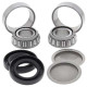 Kit roulements bras oscillant All Balls 28-1155