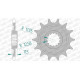 AFAM 13 teeth not 520 type 43400 Sherco SE 250 R Enduro