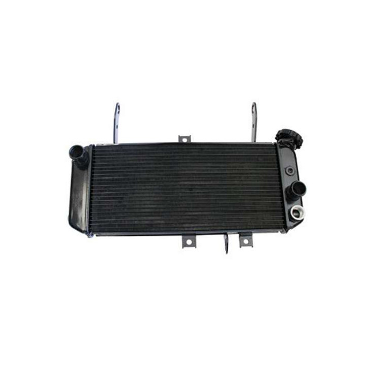 Radiateur d'eau adaptable Suzuki SV650N 03-07