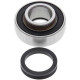 Steering column rolling kit All Balls 25-1614 ARTIC CAT