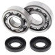 Kit bearings + spi de vilebrequin All Balls 24-1007 Kawasaki KX125