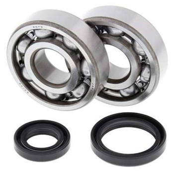 Kit roulements + spi de vilebrequin All Balls 24-1016 Suzuki RM125