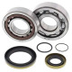Kit roulements + spi de vilebrequin All Balls 24-1115 Gas Gas EC250/300