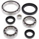 Kit roulement & joints de differentiel All Balls 25-2073 Yamaha YFM700 GRIZZLY 