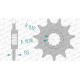 AFAM 12 teeth not 520 type 55300 Fantic 240 FM450 Trial