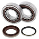 Kit roulements + spi de vilebrequin All Balls 24-1105 KTM Sx-F250