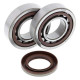 Kit roulements + spi de vilebrequin All Balls 24-1106 KTM SX-F450