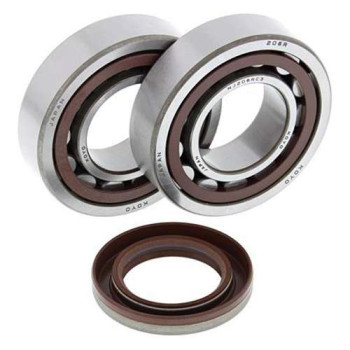 Kit roulements + spi de vilebrequin All Balls 24-1106 KTM SX-F450