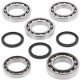 Kit roulement & joints de differentiel All Balls 25-2077 Polaris POLARIS RZR 800 