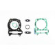 Full engine seals Athena P400210160012 MAXXER 300