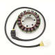 Stator Electrosport ESG531 Honda CBR1100XX 99-03
