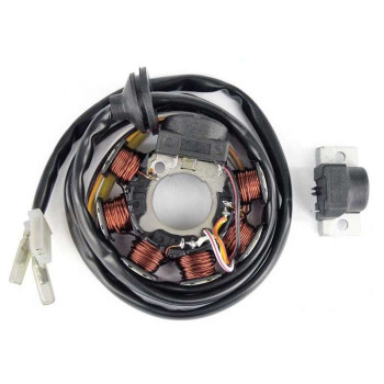 Stator complet Bihr 50 BOOSTER / BW'S -03