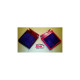 BMC air filter (ref. FM256/19) Kawasaki ZX-12R