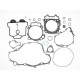 Full engine seals Tecnium 808689HC Yamaha YZ450F