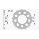 AFAM 42 teeth not 520 type 93323 GAS-GAS 250 Pampera