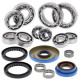 Kit roulement & joints de differentiel All Balls 25-2087 Polaris SPORTSMAN 400 HO