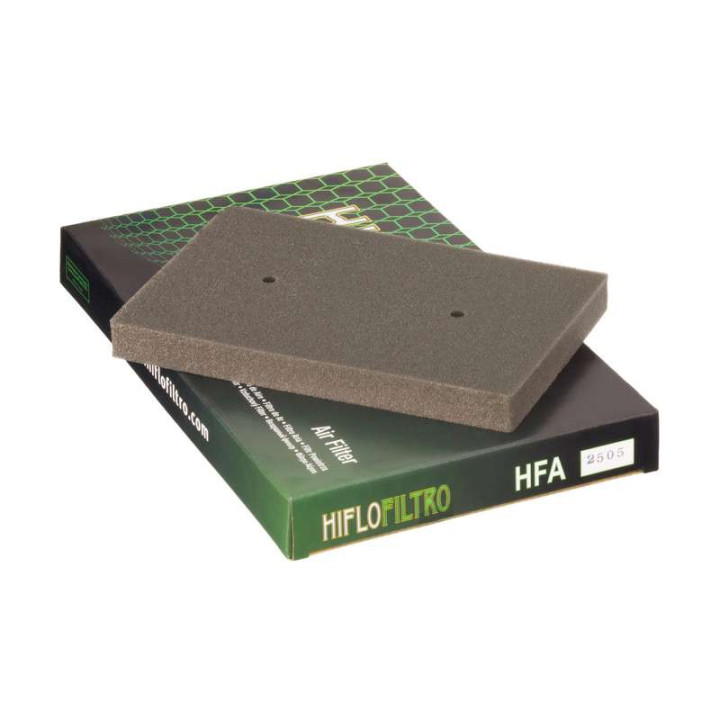 Filtre à air Hiflofiltro HFA2505 Kawasaki Z300