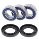 Kit roulements de roue All Balls 25-1021 TTR250 99-06