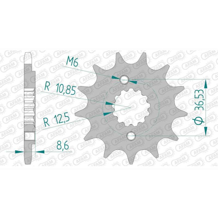 AFAM 13 teeth not 520 type 100500 Polaris 500 TLD Predator