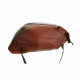 Bagster dark burgundy tank mat (1407F) Moto Guzzi V 11 Sport