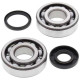 Kit bearings + spi de vilebrequin All Balls 24-1107 Husqvarna WR300 Kit bearings + spi de vilebrequin All Balls 24-1107 Husqvarna WR300
