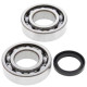 Kit roulements + spi de vilebrequin All Balls 24-1081 Suzuki RM-Z250